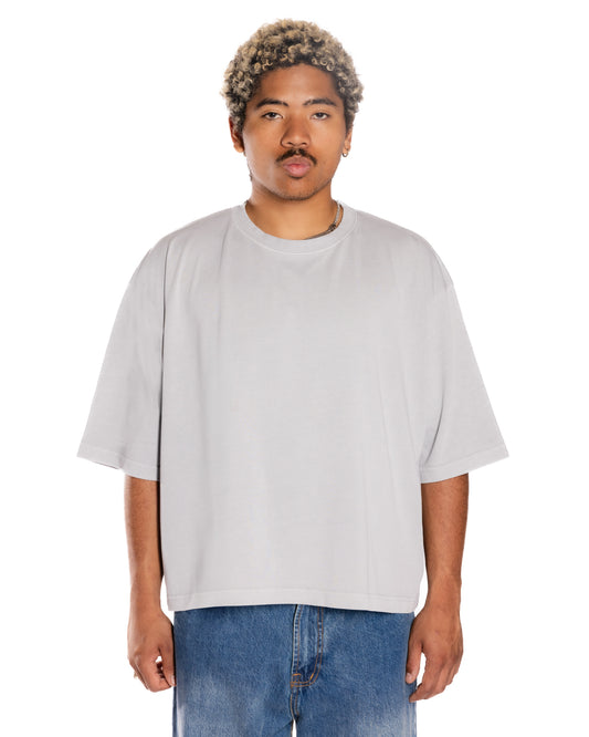 Silver Frost Crop Boxy T-shirts