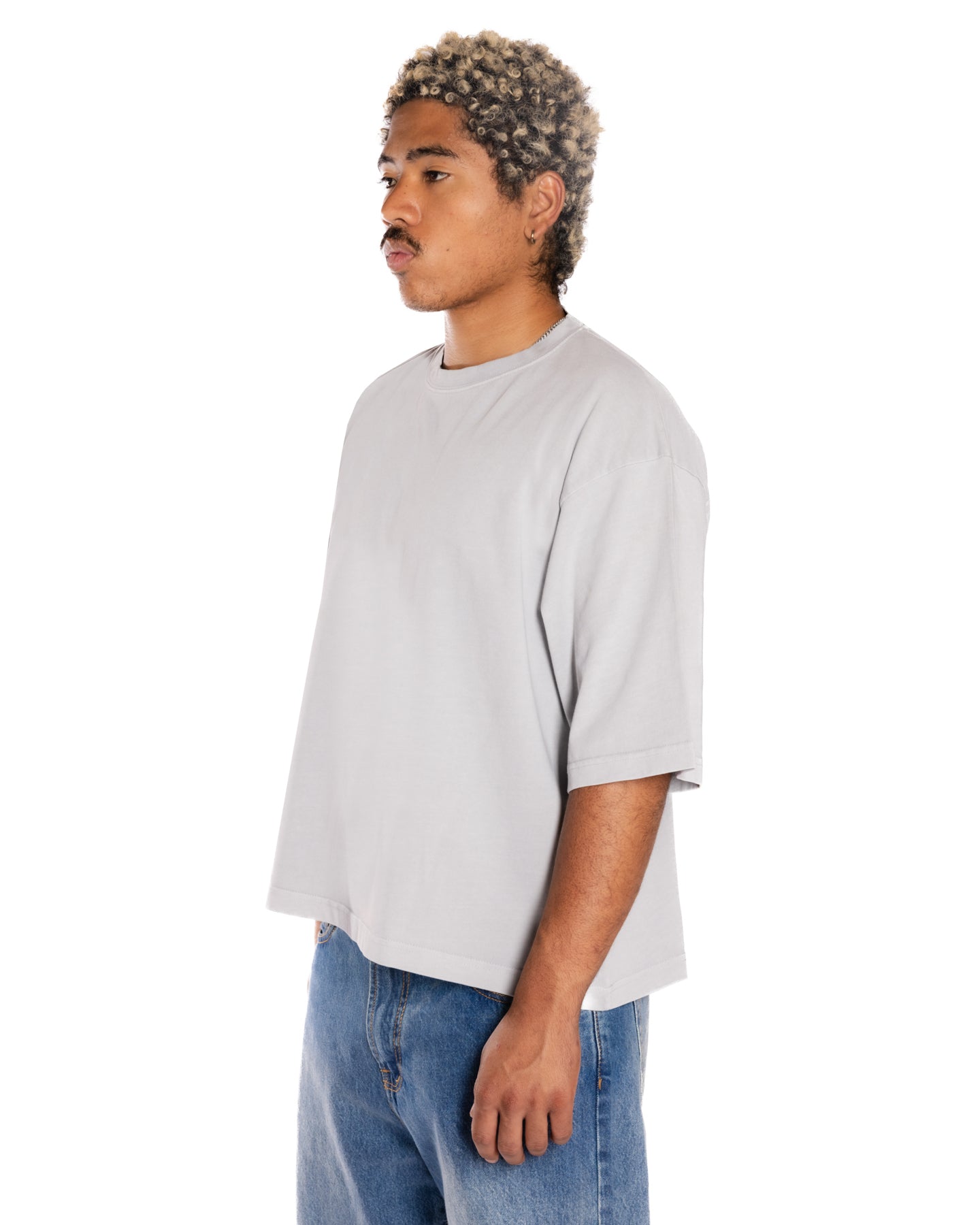 Silver Frost Crop Boxy T-shirts