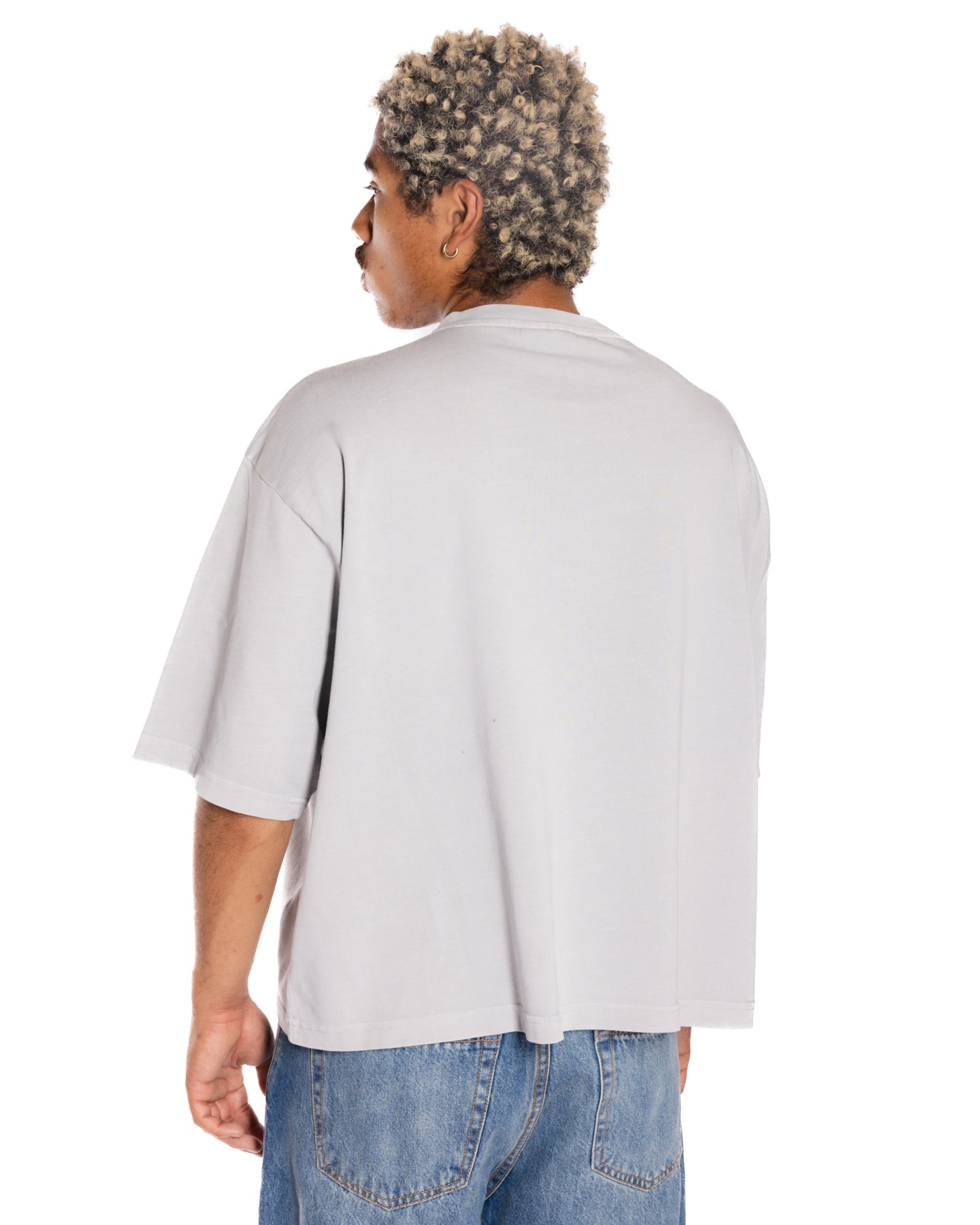 Silver Frost Crop Boxy T-shirts